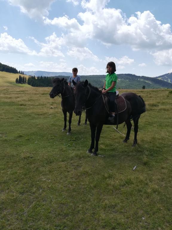 Pensiunea Catalina Moldova Sulita Exteriör bild