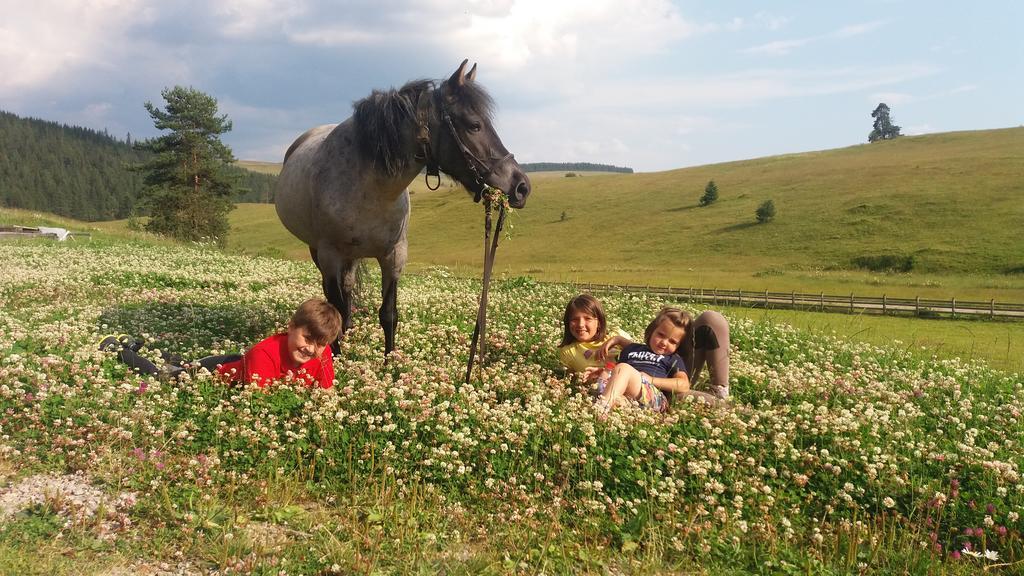 Pensiunea Catalina Moldova Sulita Exteriör bild