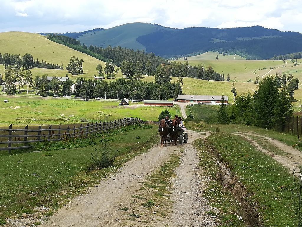 Pensiunea Catalina Moldova Sulita Exteriör bild
