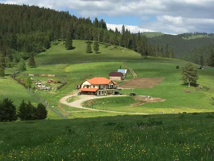 Pensiunea Catalina Moldova Sulita Exteriör bild