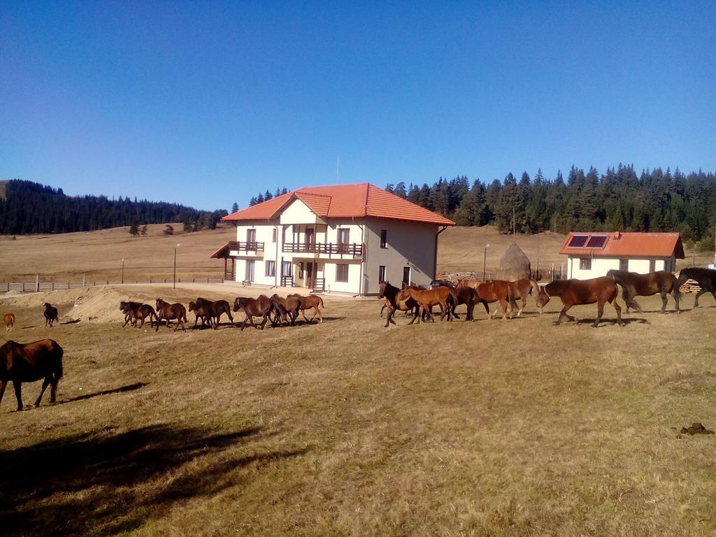 Pensiunea Catalina Moldova Sulita Exteriör bild